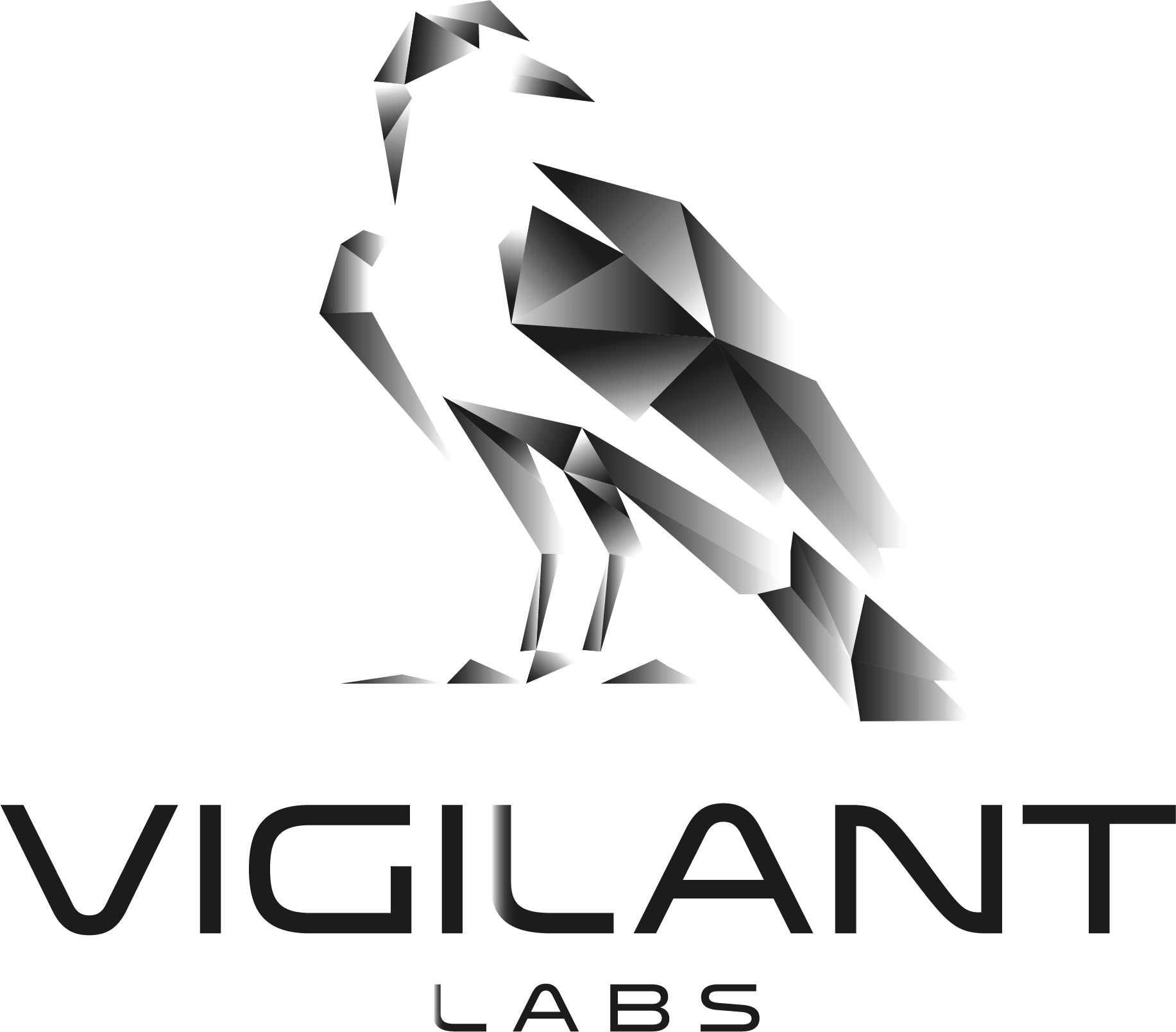 Vigilant Labs